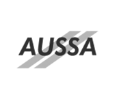 Logo de Cliente AUSSA videopro.media