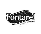 Logo de Cliente Fontarel videopro.media